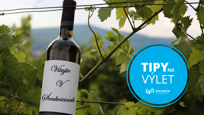 Let's get to know the largest wine-growing village under the Little Carpathians-1