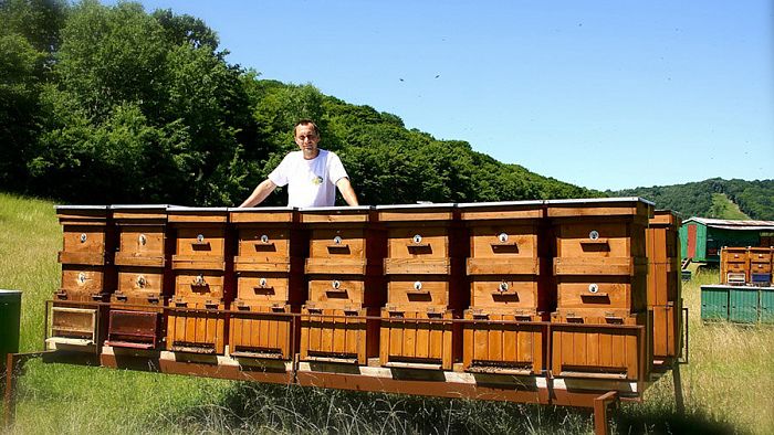 MAJA beekeeping-2