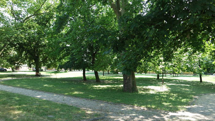 Park in Gabčíkovo-1