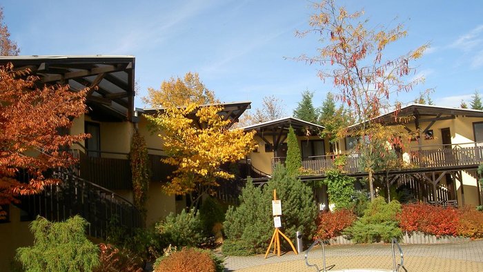 Hotel Safari Lodge-3