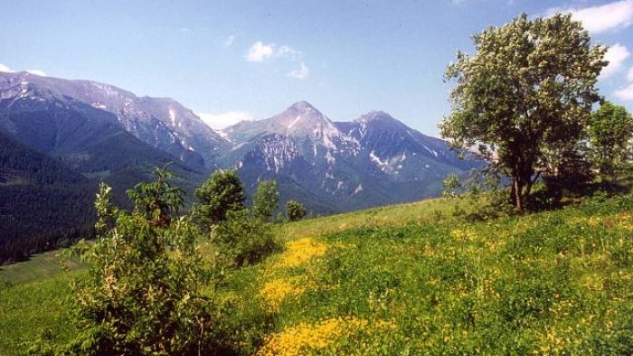 Die Stadt der Hohen Tatra-1