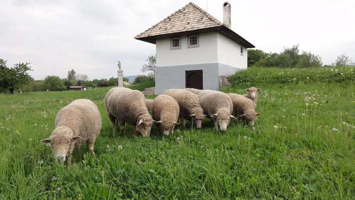 Slovak Agricultural Museum - Nitra-18
