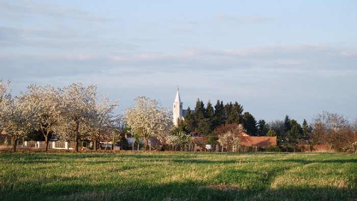 The village of Borová-1
