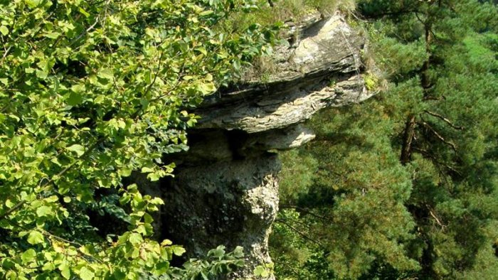 Markušovský skalní hřib-3