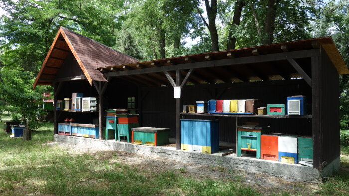 Beekeeping open-air museum-14