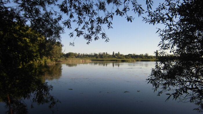 Protected area Trnavské rybníky - Hrnčiarovce nad Parnou-7