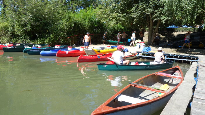 Rafting on the Little Danube-2