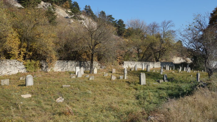 Zsidó temető - Trstín-9