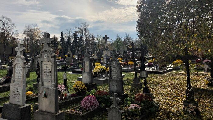 Cemetery- Pavlice-2