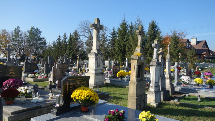 Cemetery- Pavlice-1