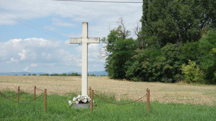 Cross in the cholera cemetery - Chataj-1
